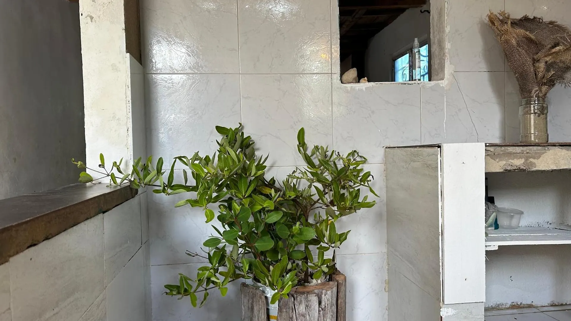 Ecohostal And Ecofit Completo01 Cartagena 0*,  Κολομβία