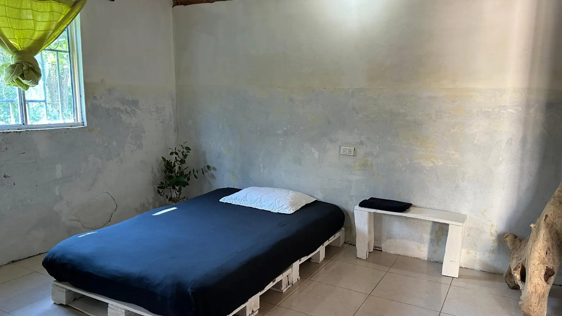 Ecohostal And Ecofit Completo01 Cartagena